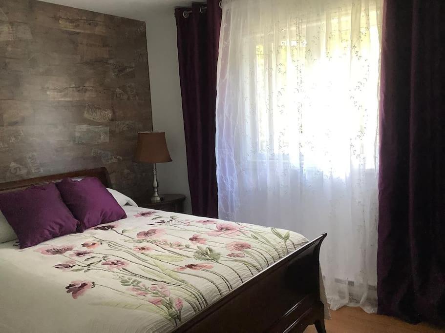 Chalet Pres Du Mont Megantic Villa La Patrie Ngoại thất bức ảnh